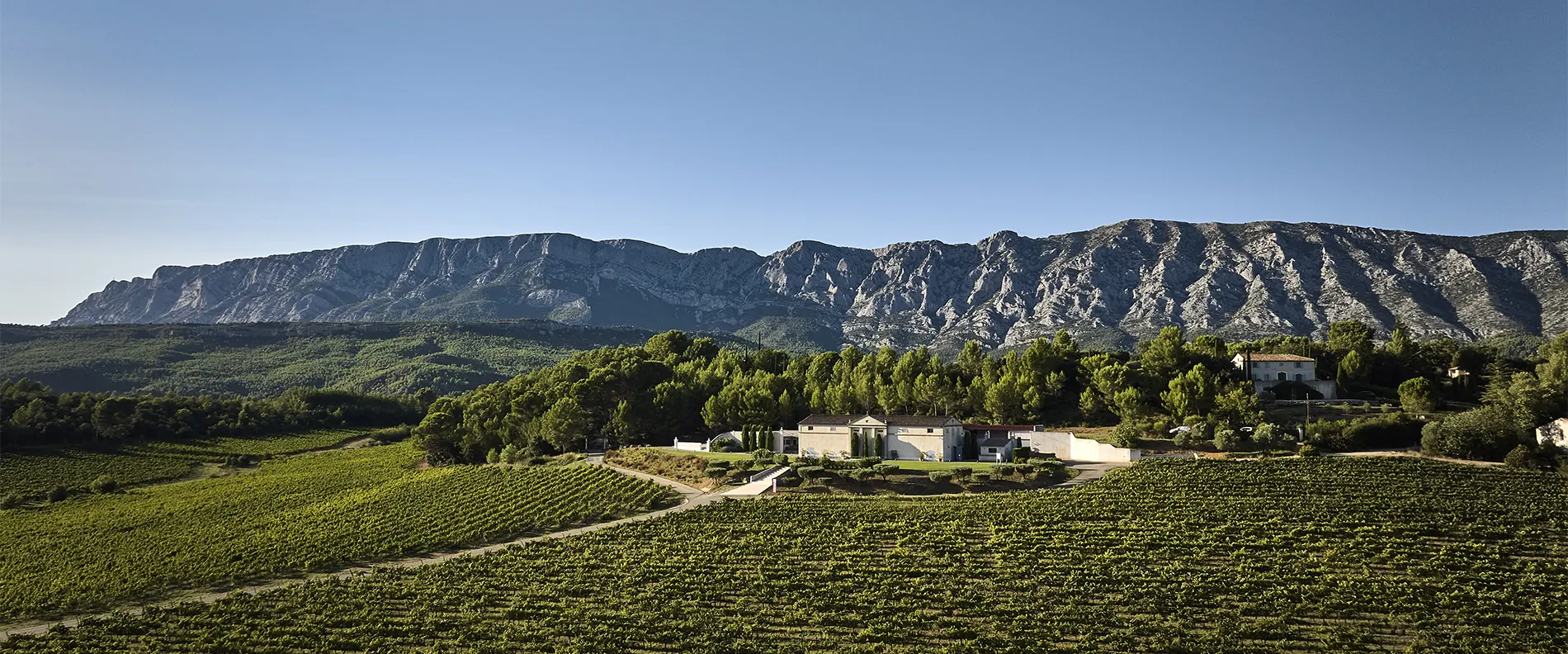 Bannière avec une de nos bouteilles