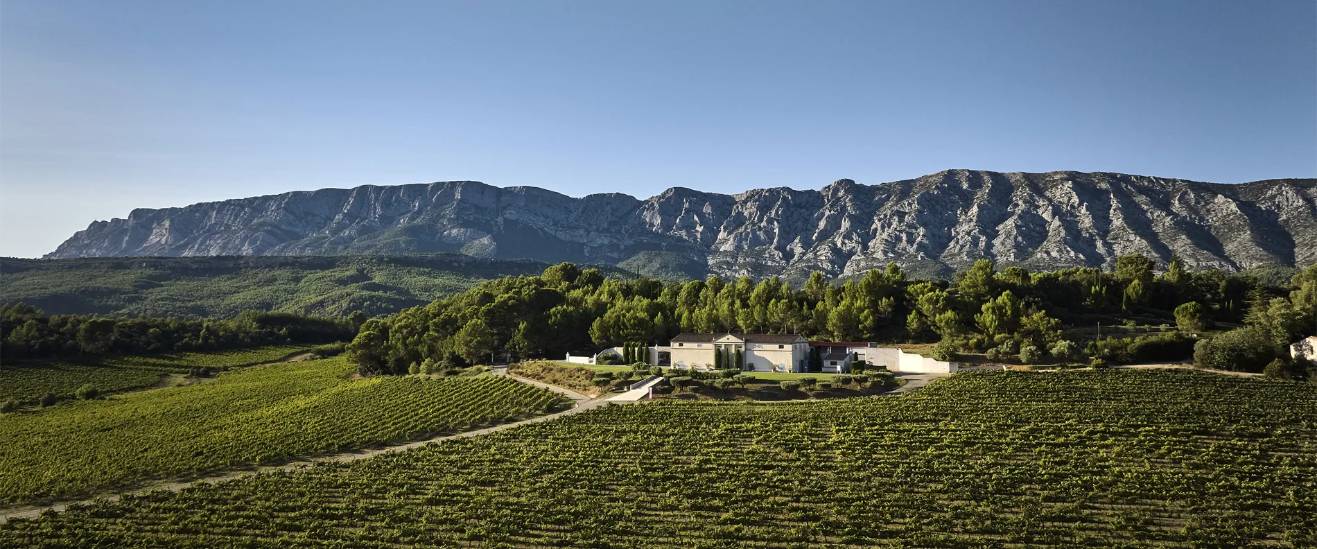Bannière avec une de nos bouteilles